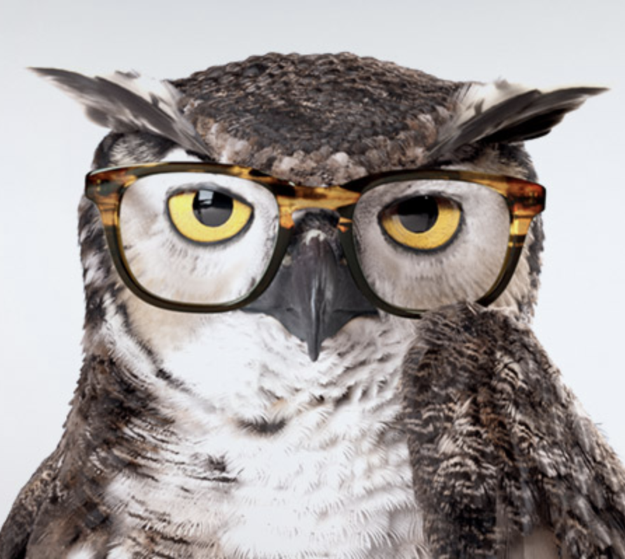 Eye Exam Special