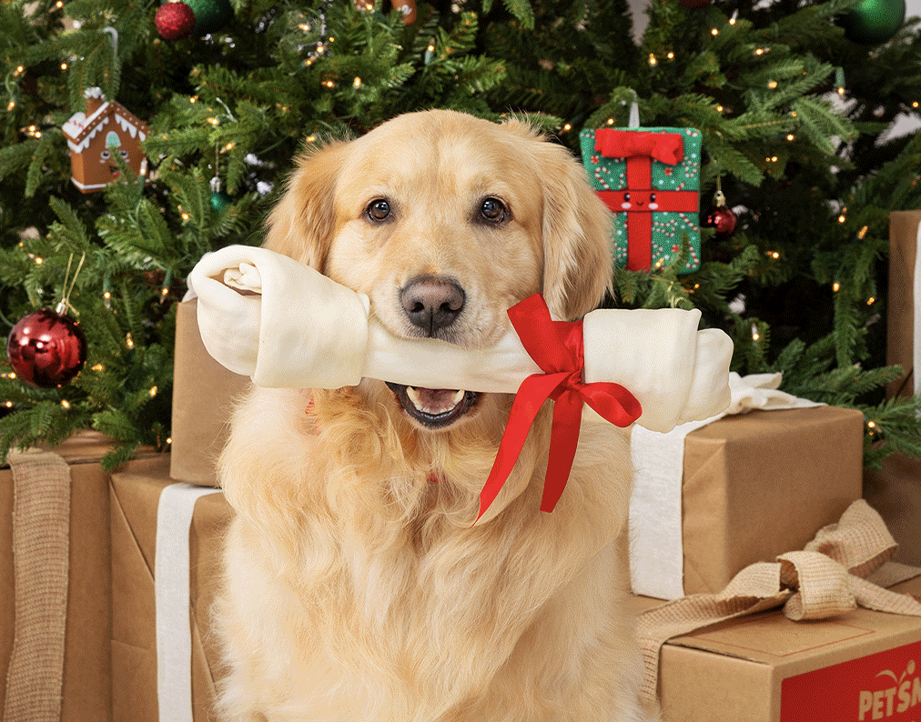 Happy Holiday Gifts for Furry Friends!