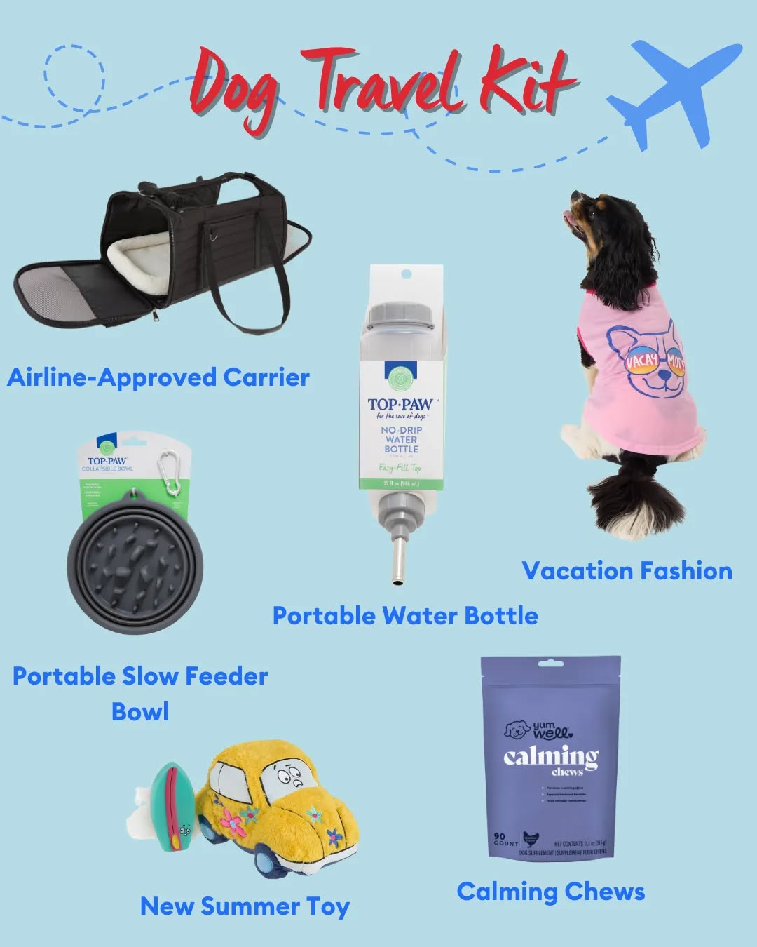 Summer Fun for Pets